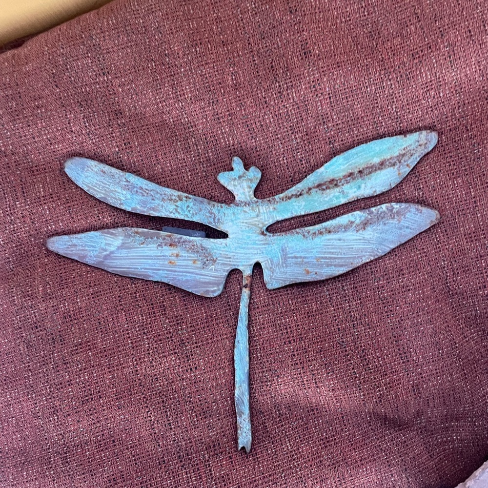 Dragonfly magnet